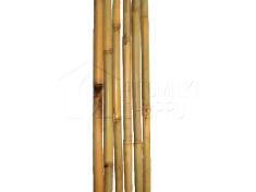 Бамбуковая поддержка 150 см, осн. Ø 18/20 мм (100 шт./уп.)