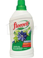 Удобрение FLOROVIT жидкое для клематиса, жимолости, глицинии и др.цветущих вьющихся 1 л