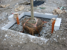 Система крепления кома дерева TREELOCK 90 (50 - 90 cm)