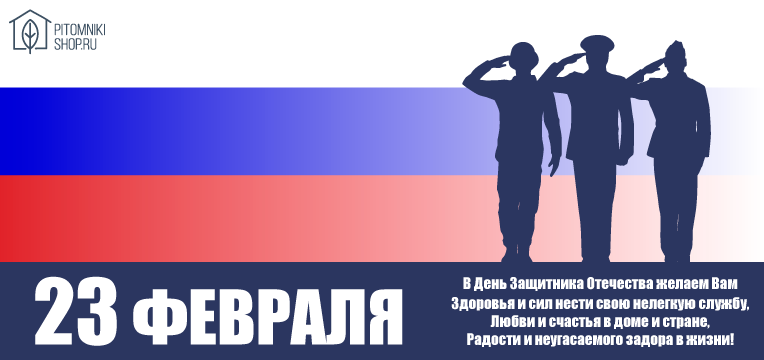 23-fevralya-2-logo-1.png 23-fevralya-2-logo-1.png